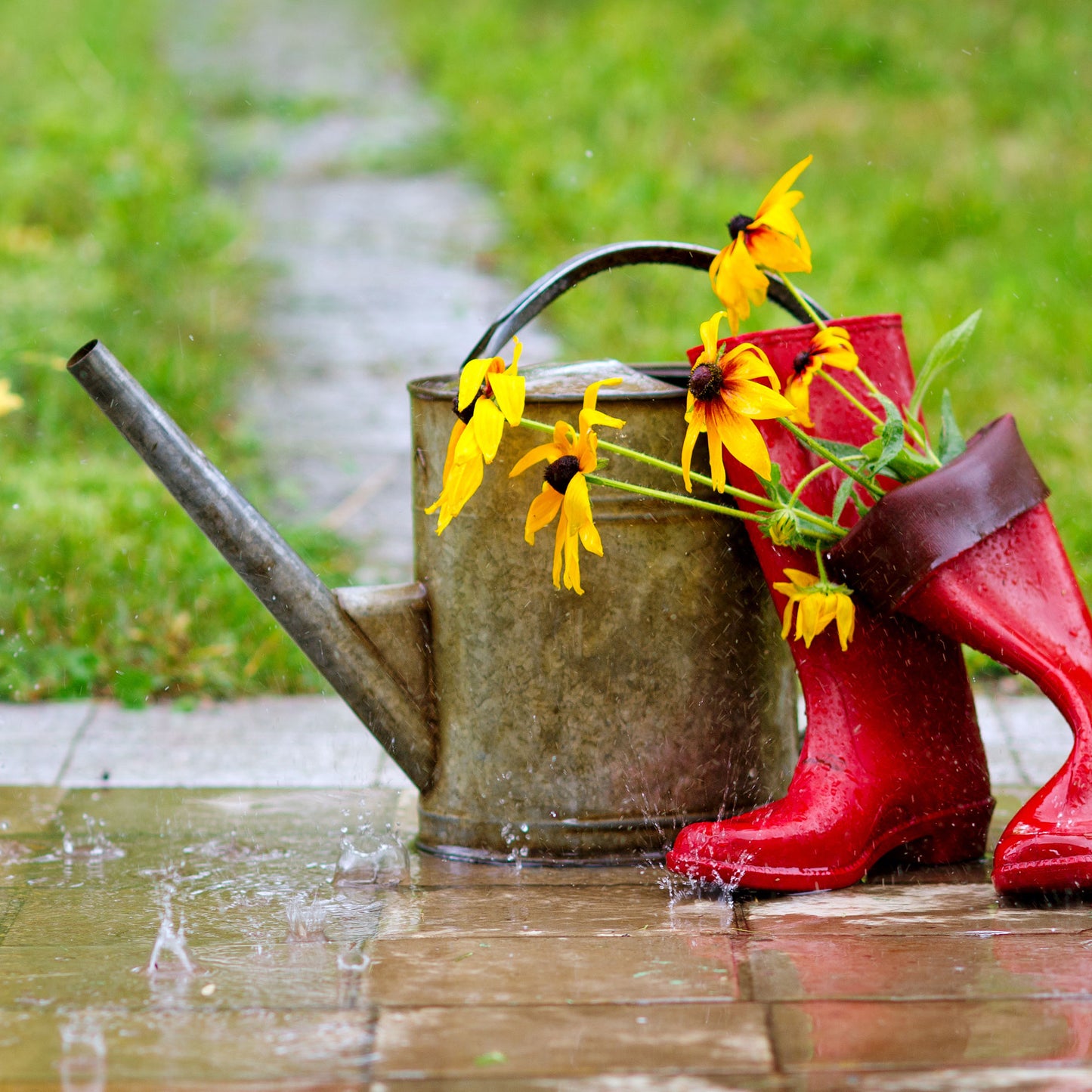 Spring Rain - The Quintessential Rain Fragrance