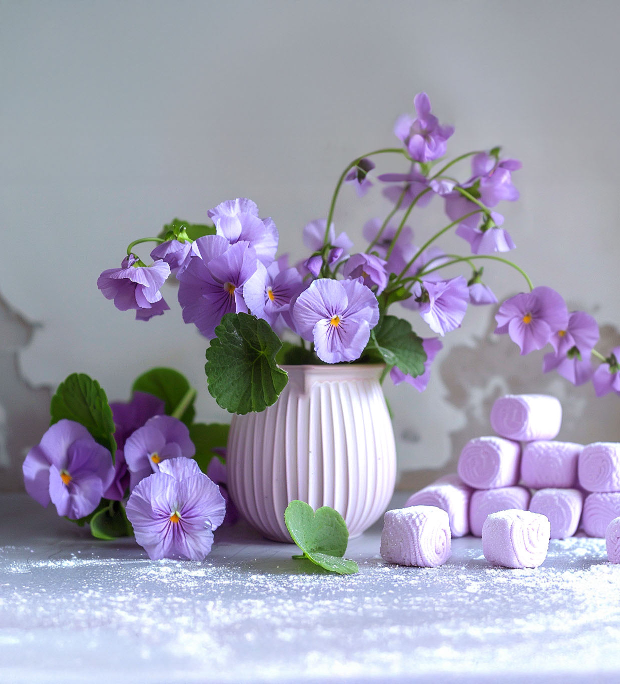 Violet Marshmallow - The Shy Girl's Time to Shine