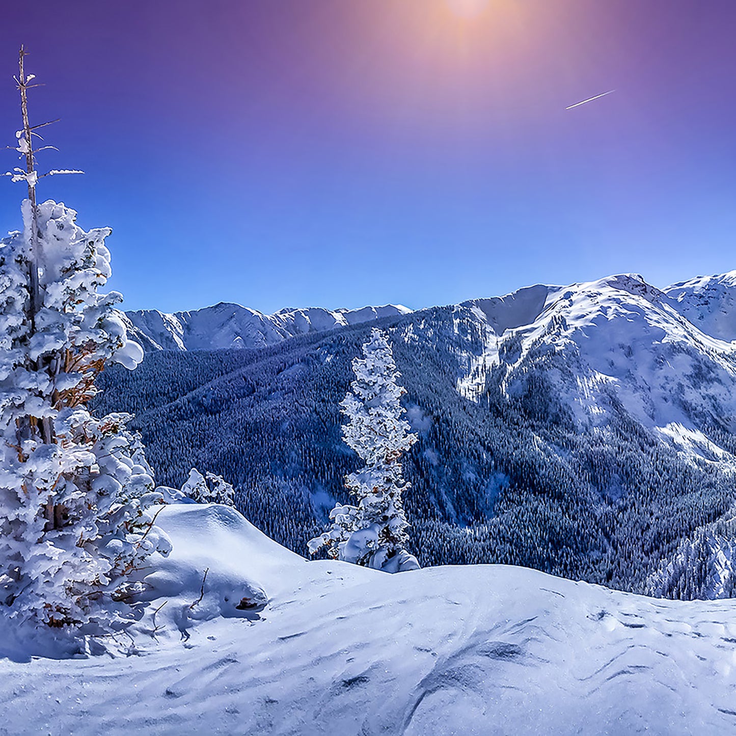 Winter Wonderland – Crisp Mint & Earthy Pine That Will Place You in an Enchanting Winter Landscape