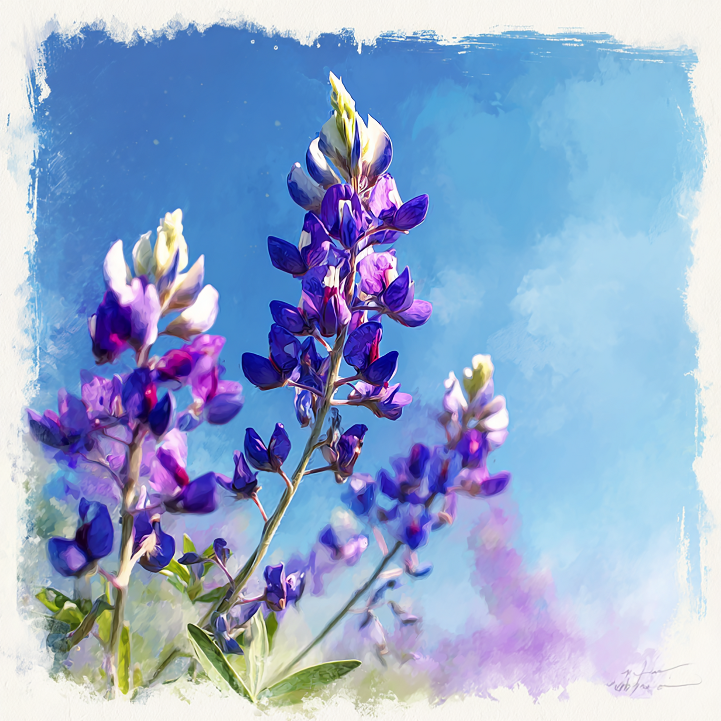 Hill Country Bluebonnet - Fragrance | Ylang Ylang • Bergamot • Musk | Spring in Texas