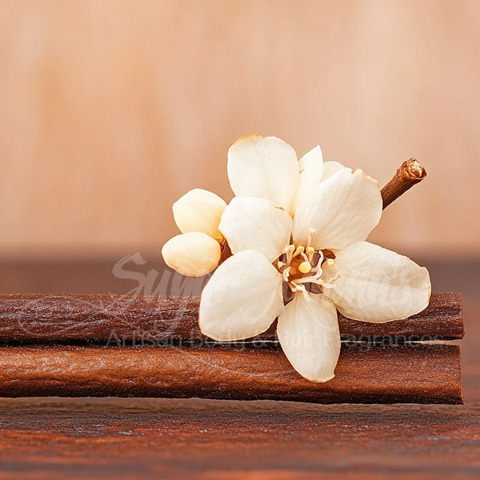 a white flower on top of a piece of wood