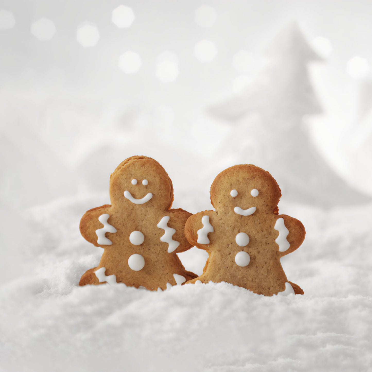Gingerbread Cookies - Gingerly Delightful Blend of Sweetness & Spice