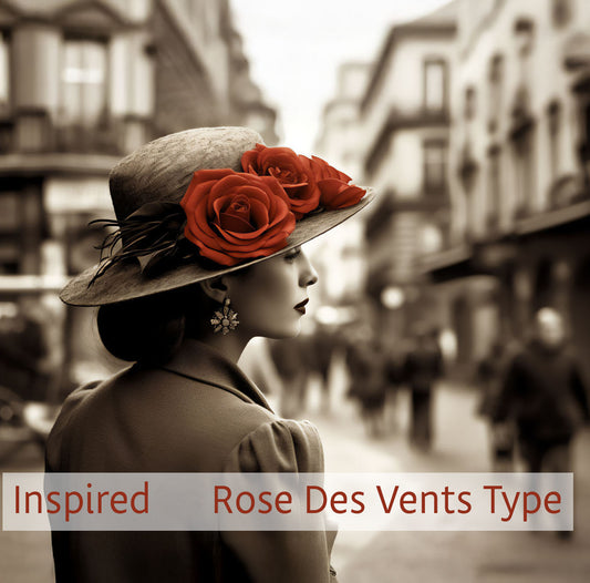 Parisian Allure - Our Best Rose Fragrance