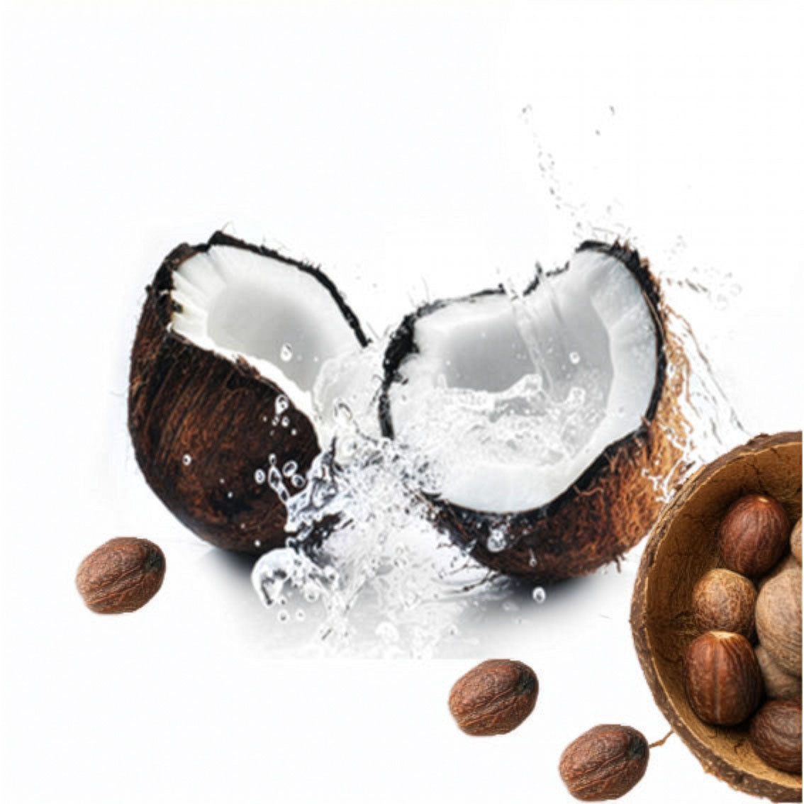 Shea & Coconut - Delivers Tranquility - Cozy and Clean