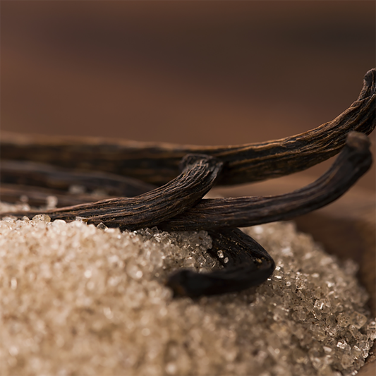 Vanilla Brown Sugar - Creamy Vanilla & Rich Brown Sugar - Inviting and Cozy
