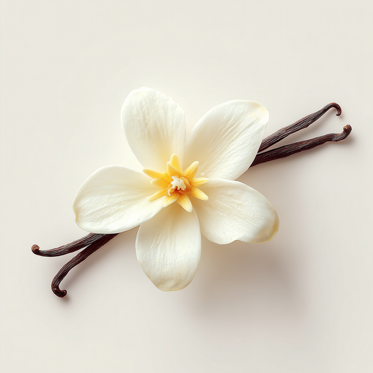 Just VANILLA - GOOD, Rich, and Creamy Vanilla