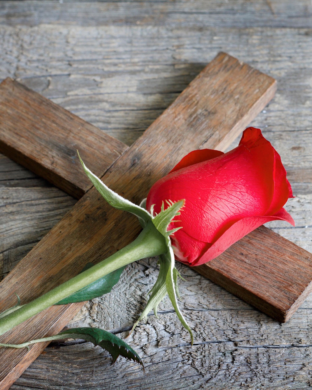 Rose of Sharon - Frankincense & Rose - A spiritual journey told through scent