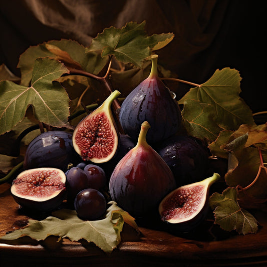 Harvest Fig - Decadent Dark Fig, Amber & Plum - Perfectly Captures the Richness of the Season